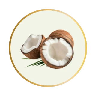 Óleo de Coco